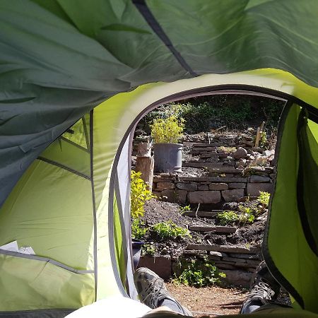 'Yellow Wood Micro Hostel-Eco Urban Bothy Style Very Basic But Cosy Redecorating But Cheap & Friendly Quiet Time Lockout 11Pm-7Am Bring Towel Or Hire Brecon Exterior photo